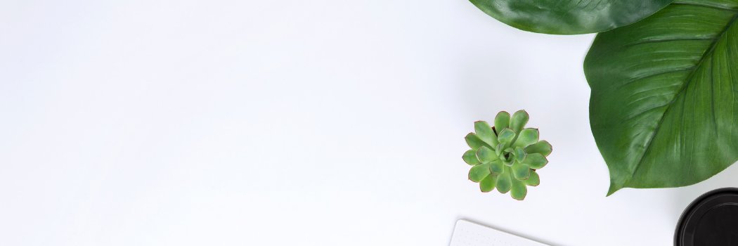 mintia0910's profile banner image