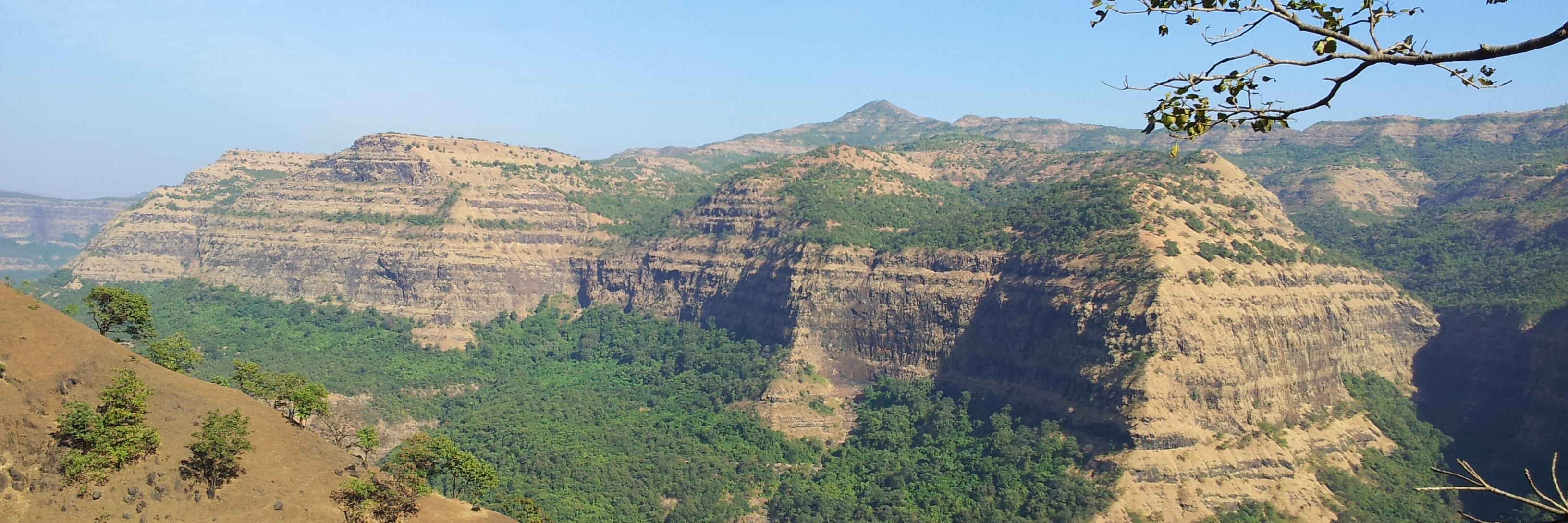 Shekhar Mande's banner