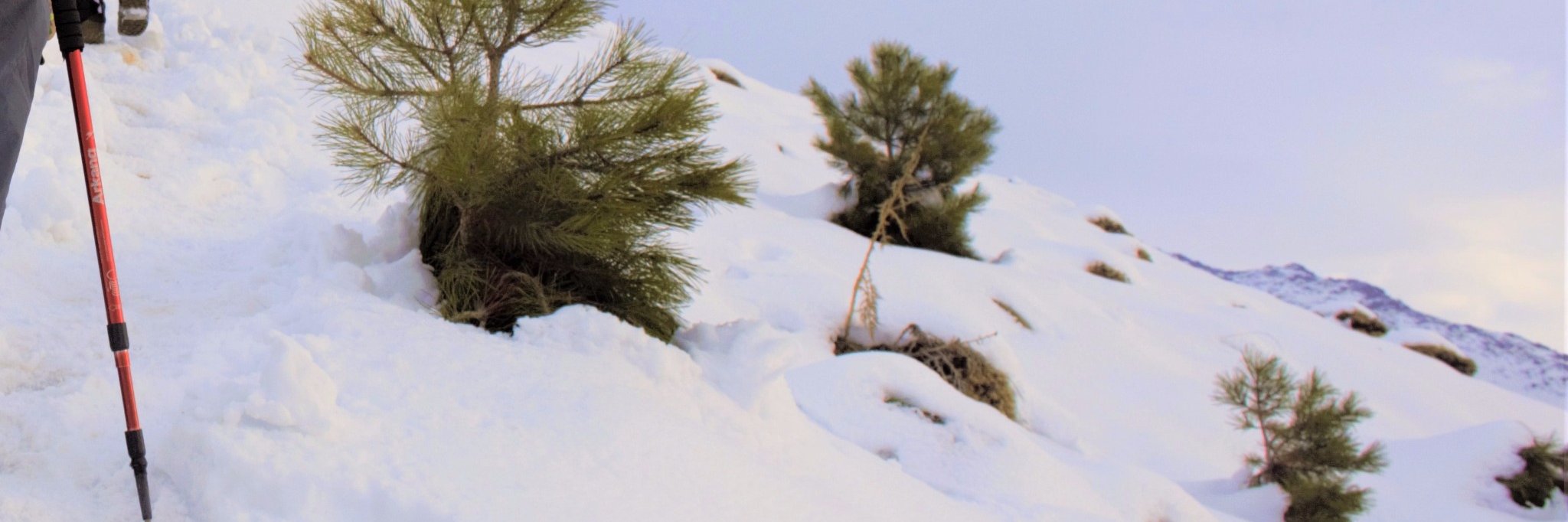 he_babak's profile banner image