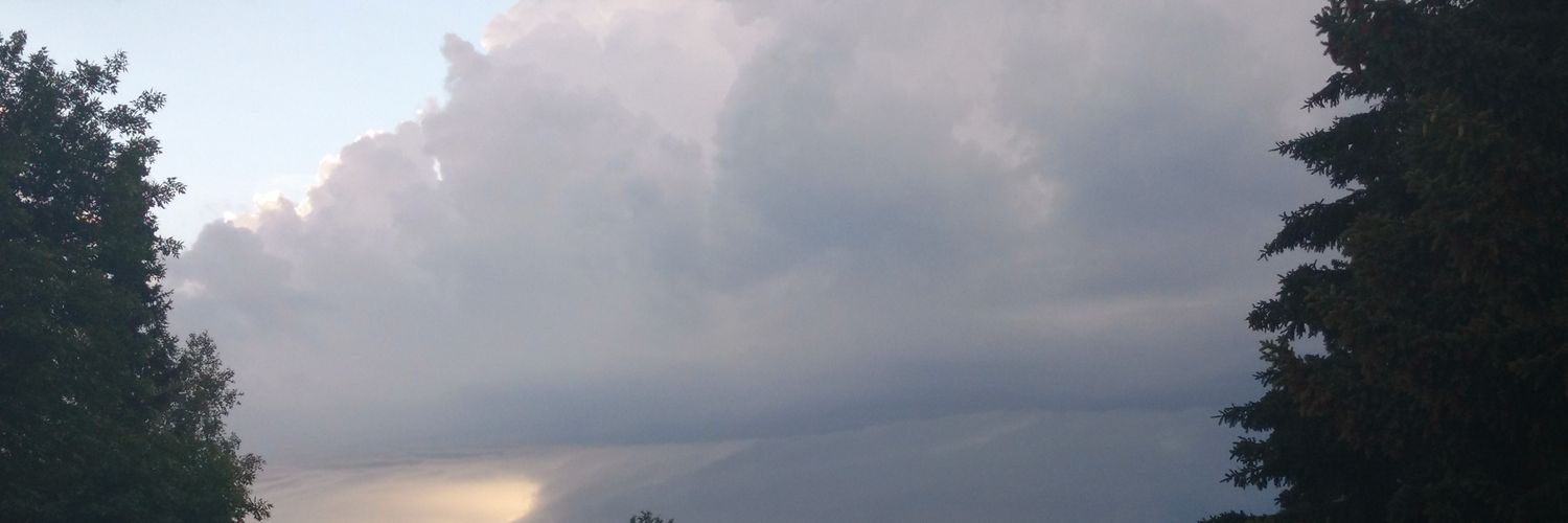WolfeBoy86's profile banner image