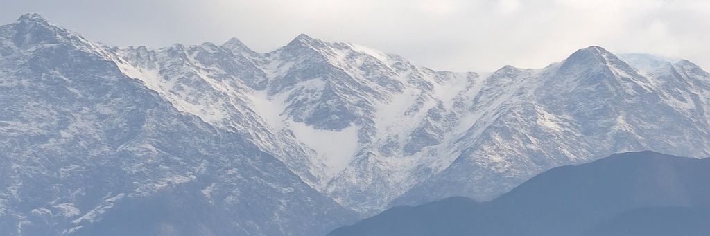 Asset_fox's profile banner image