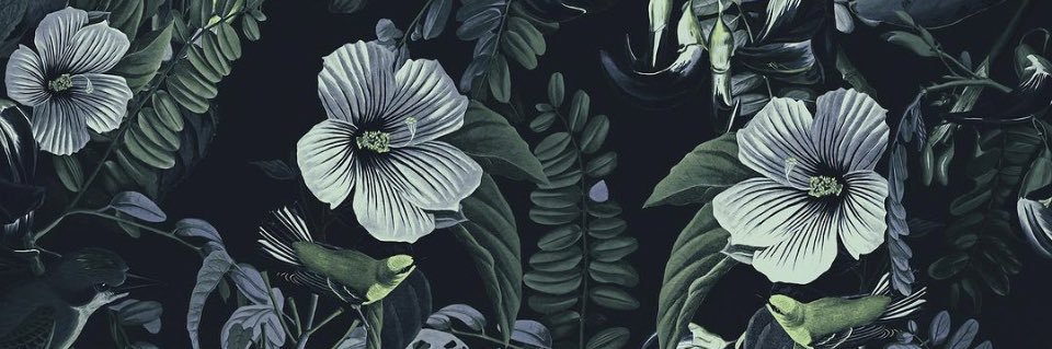 bonexwood's profile banner image