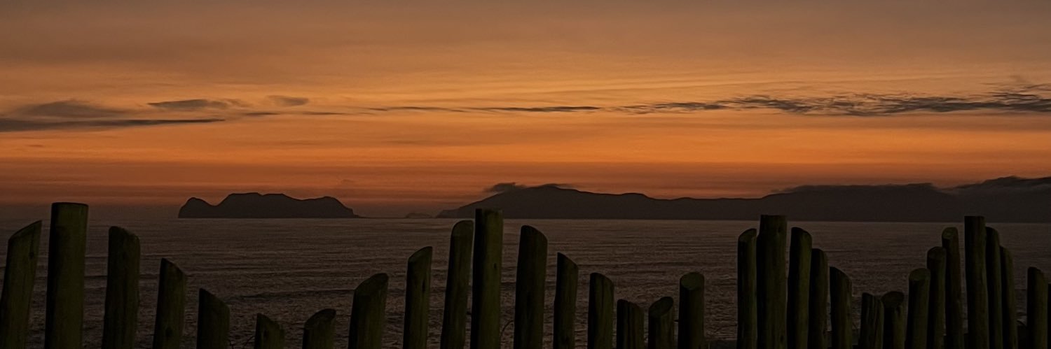 Angela Gutiérrez banner