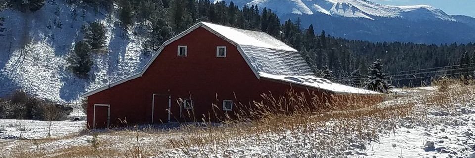 t21craw's profile banner image