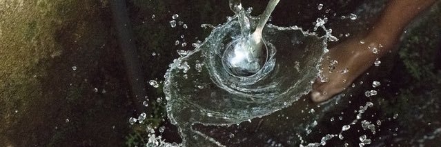 maggielwhite's profile banner image
