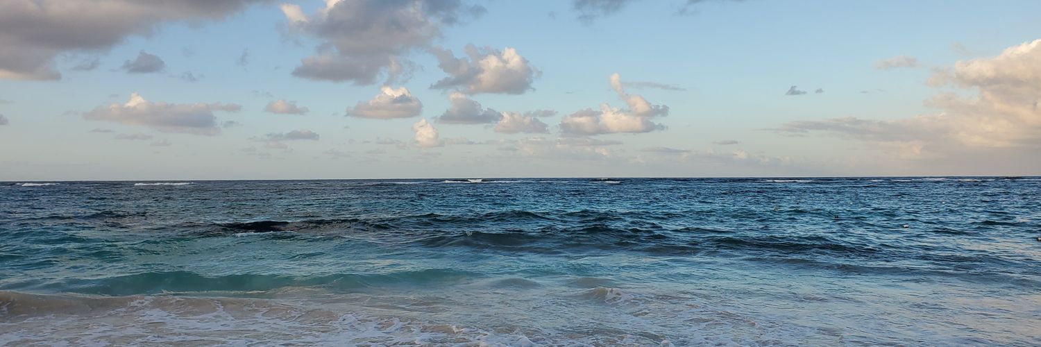 Loucce's profile banner image