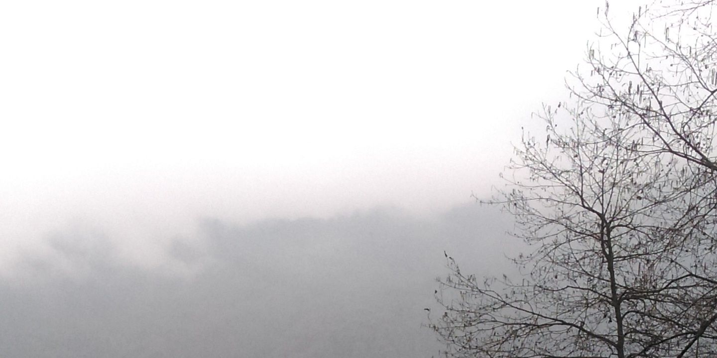 javadaeini's profile banner image