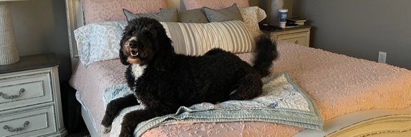 cheryllockhart Profile Banner