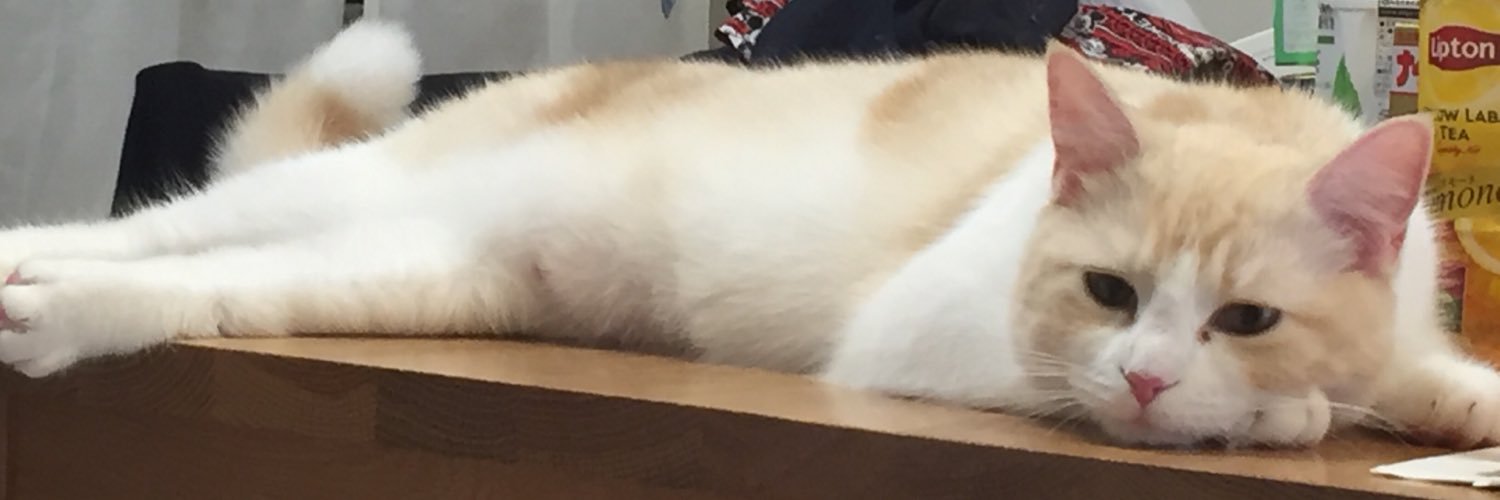 subarueigher's profile banner image