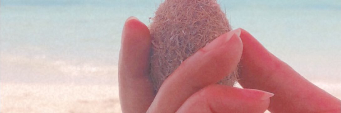 shello_w's profile banner image