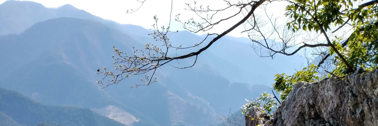 王乃駄菓子 banner