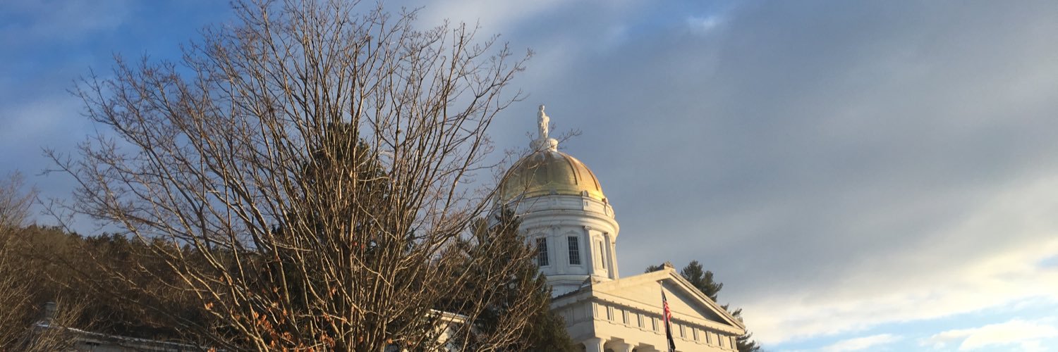 Mitzi Johnson banner