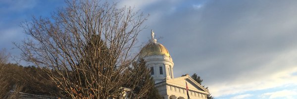 MitziJohnsonVT Profile Banner