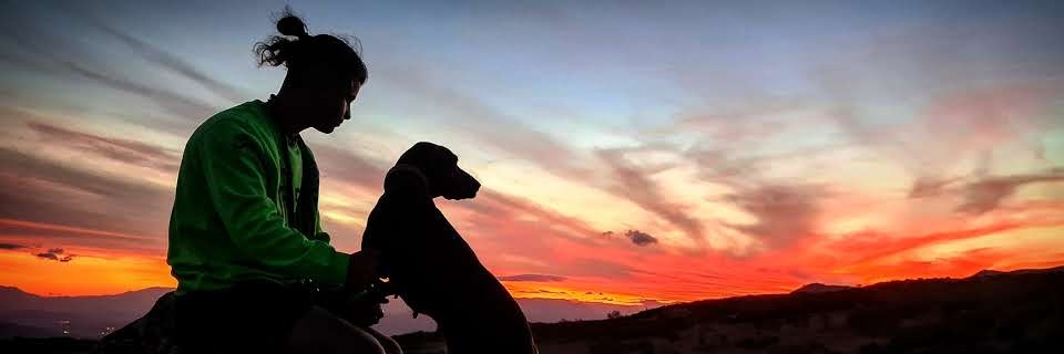 reingaz's profile banner image