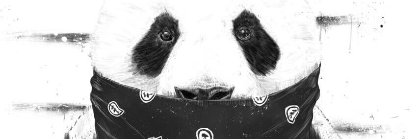 Giovmberry's profile banner image