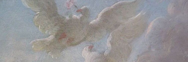 MneeraSultan's profile banner image