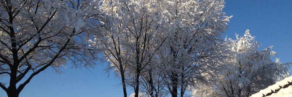 Ellen 📯 ellenf.bsky.social 🇨🇦🇬🇱🇵🇦 banner