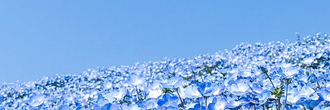 yu_nwazluv's profile banner image