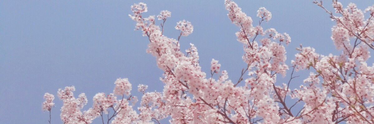 dohapong's profile banner image