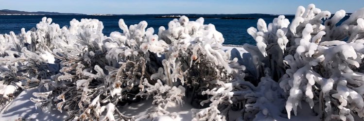 Penobscot Bay Pilot banner
