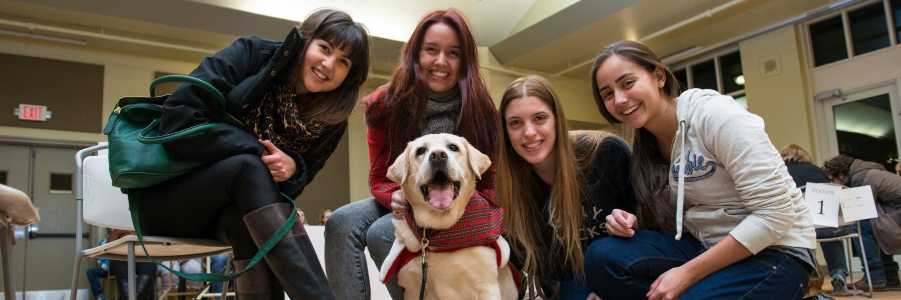 UNBF Student Services banner