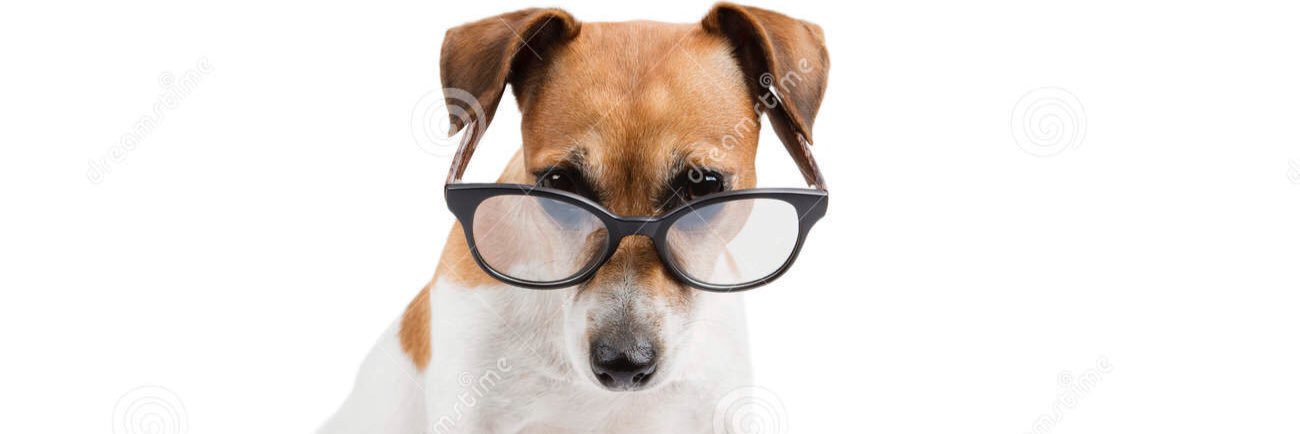 hello_doddy's profile banner image