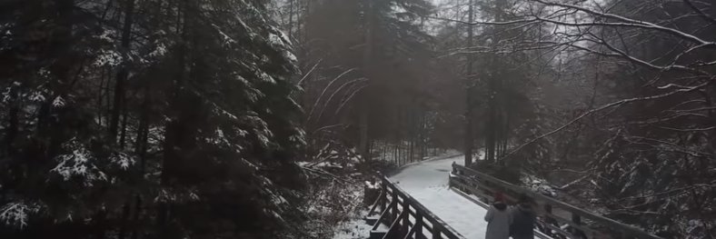 Gloomvi's profile banner image