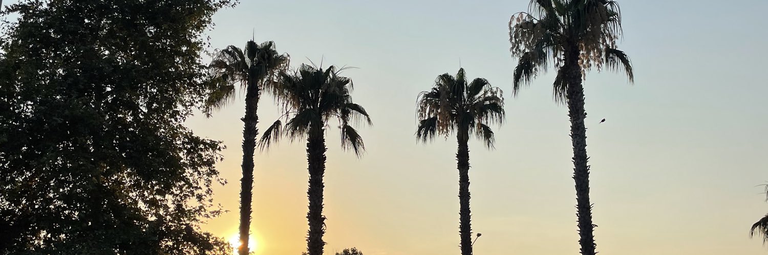 _Schlimazl's profile banner image