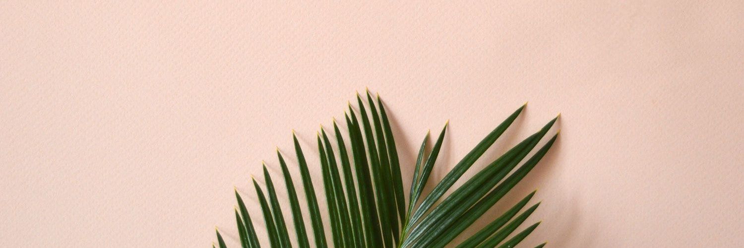 Sitrian_'s profile banner image