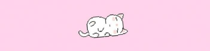 pinkdoll81's profile banner image