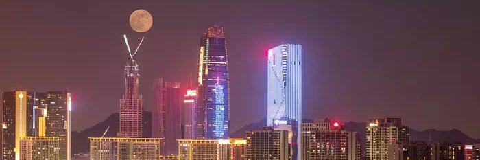 紅棉花 banner
