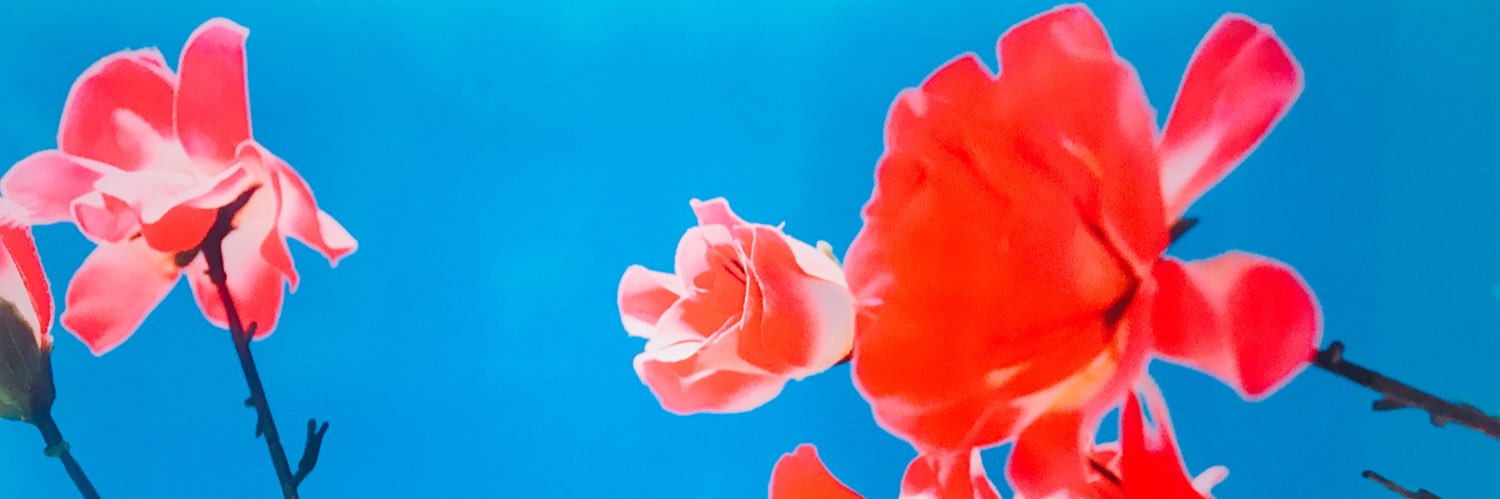 nyagaeee's profile banner image