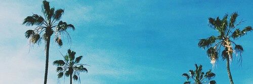 Moonsrrat's profile banner image