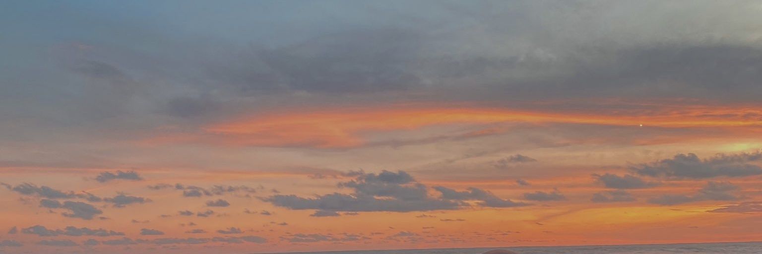 masip_10's profile banner image