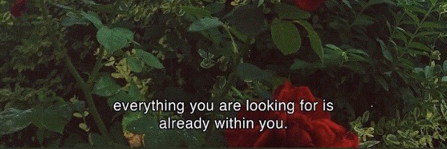 Soft✨ banner