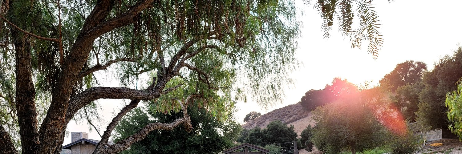 pointredeemer's profile banner image