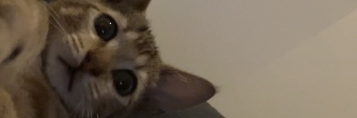 sh0laa's profile banner image