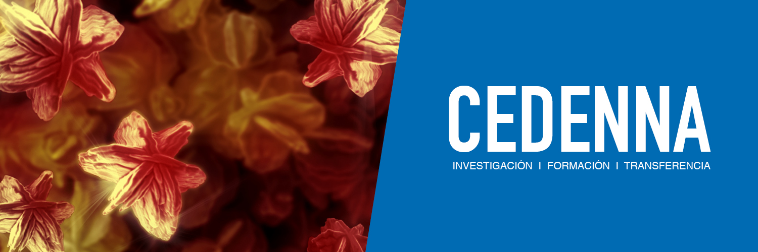 CEDENNA's profile banner image