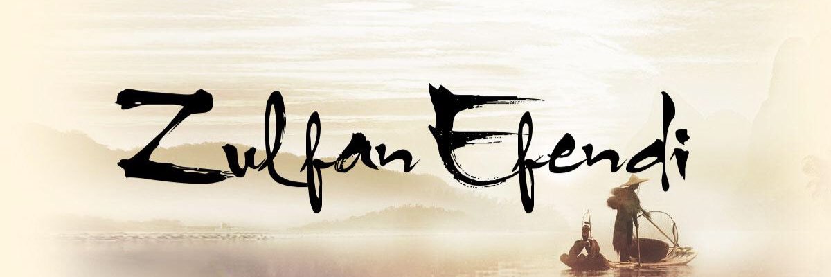 Zulfanite's profile banner image