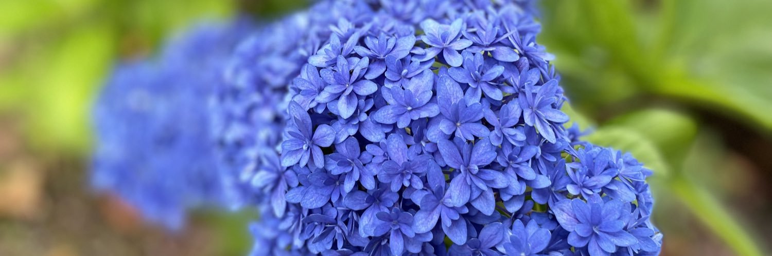 shio_kai's profile banner image