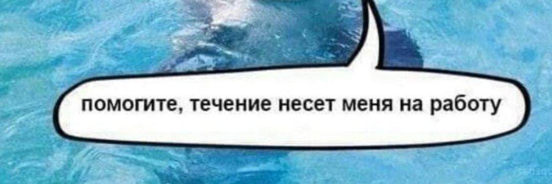 pidrcocna's profile banner image