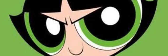 DiddiSister banner