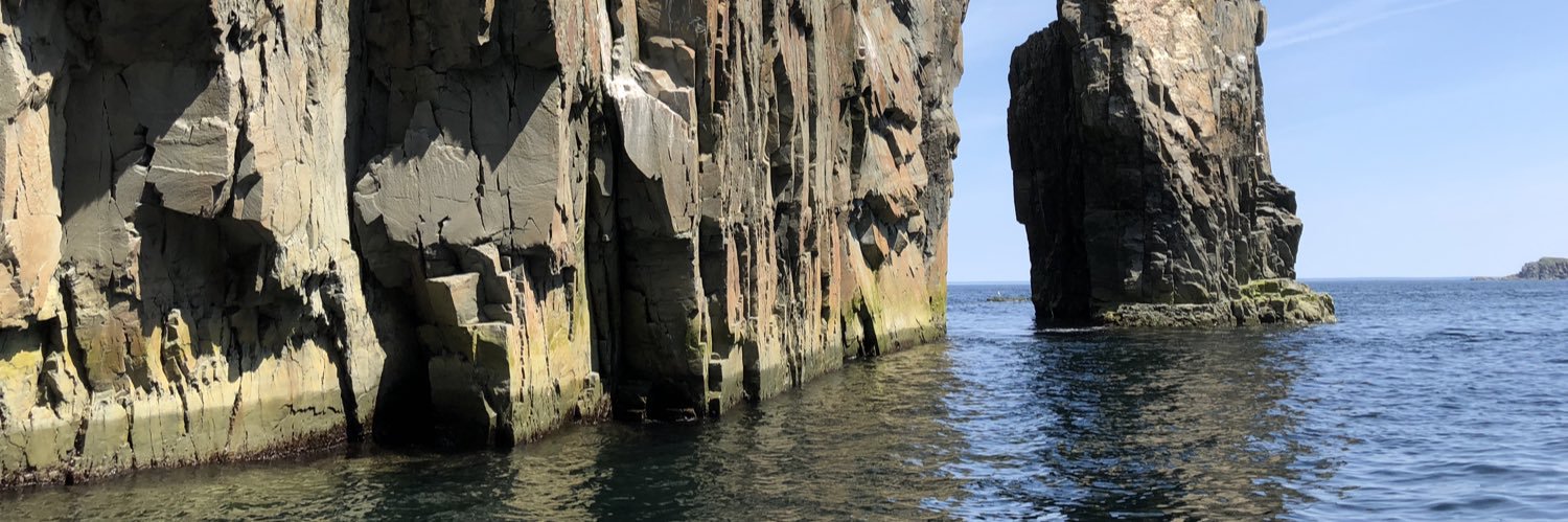 Alison Stewart banner