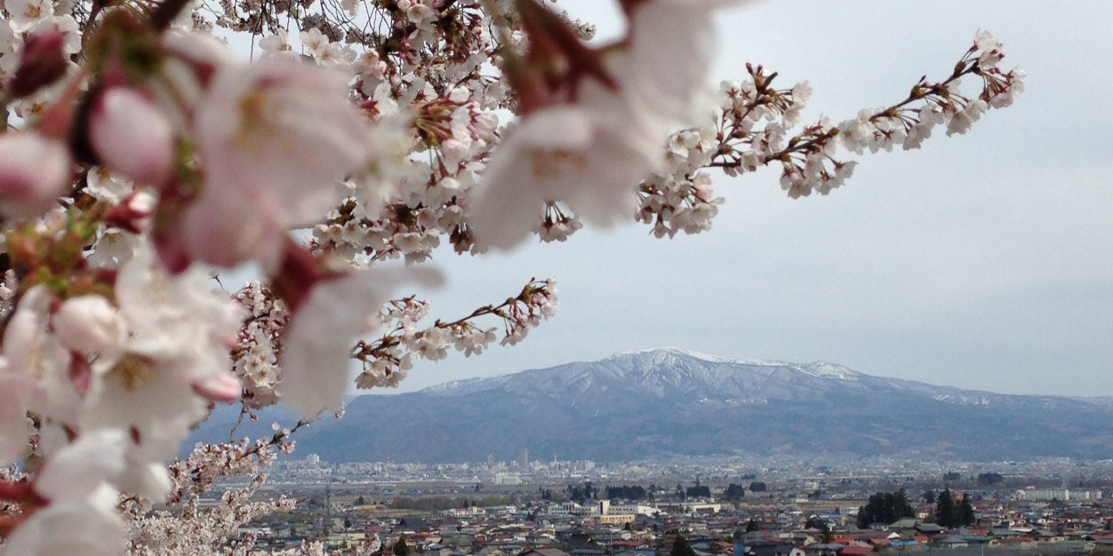 japancat2006's profile banner image