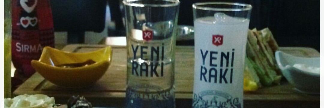 GrselcanKaskar's profile banner image