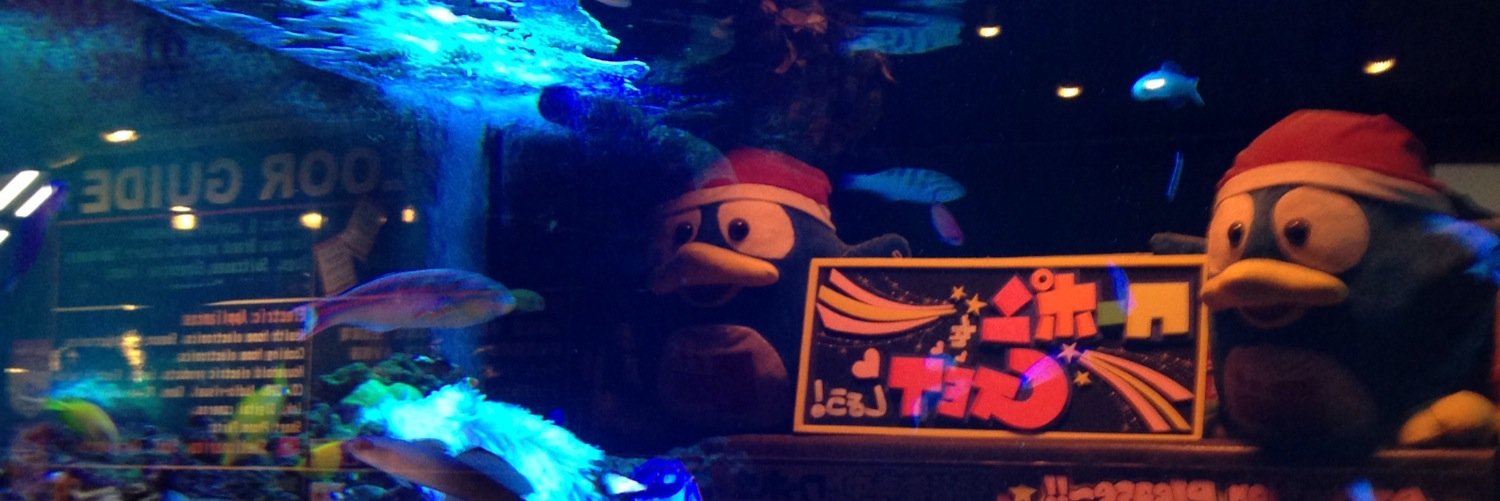 stnnnnn's profile banner image
