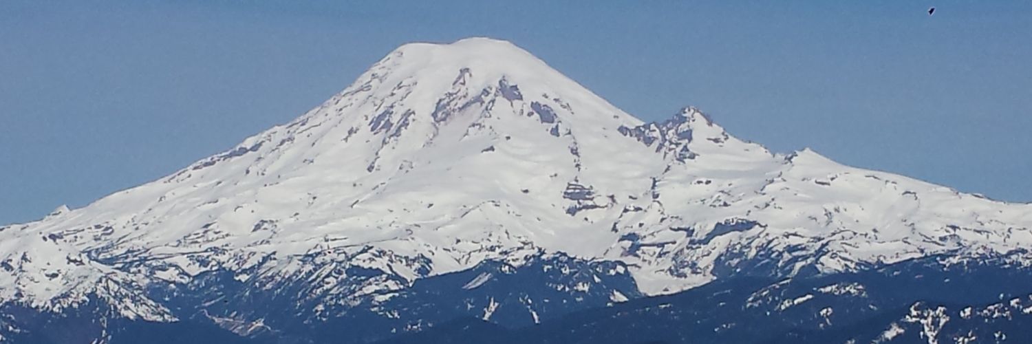 Michael Rossi MD, MS banner