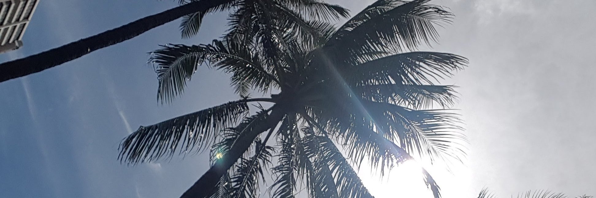 jactapp's profile banner image
