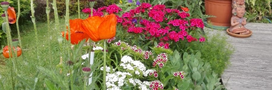 Gerda_widar_ort's profile banner image