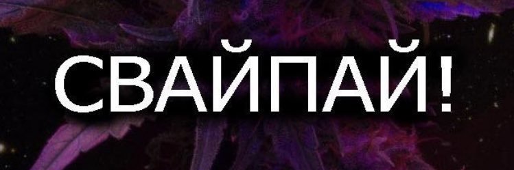 thef1ll's profile banner image